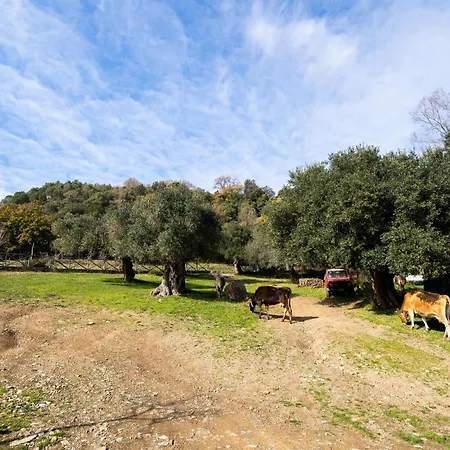 San Basilio Country house *